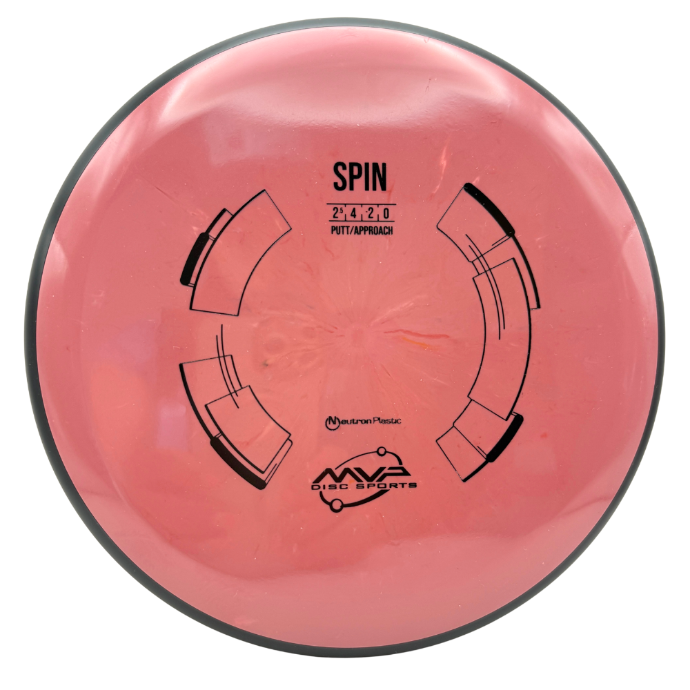 Neutron Spin