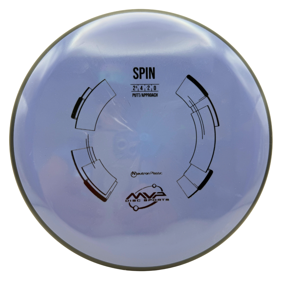 Neutron Spin