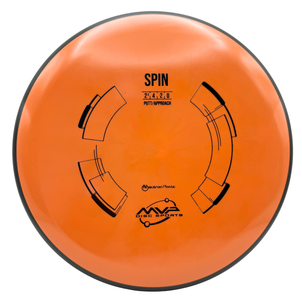 Neutron Spin