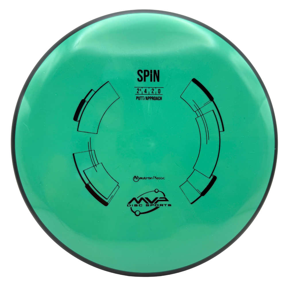 Neutron Spin