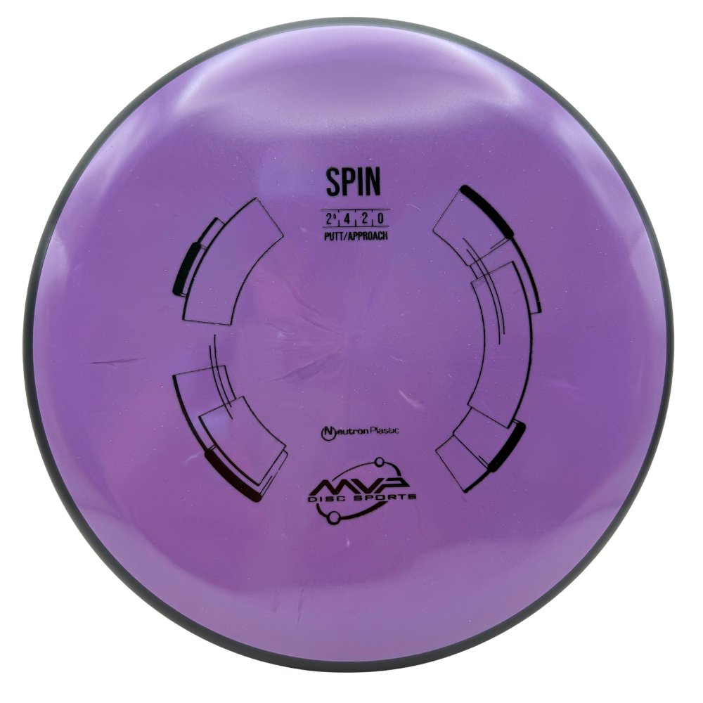Neutron Spin