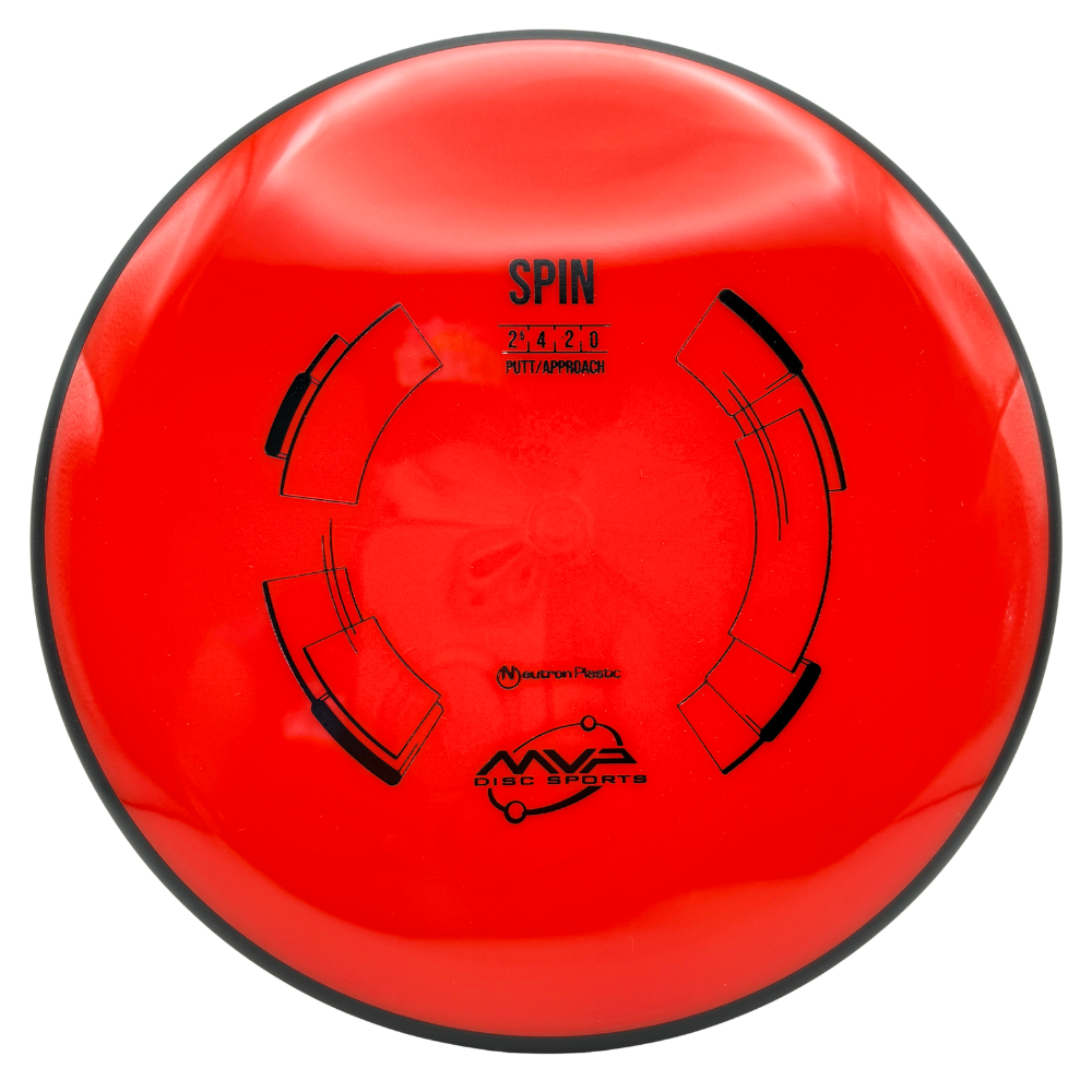 Neutron Spin