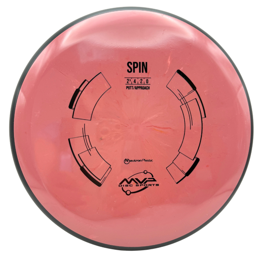 Neutron Spin