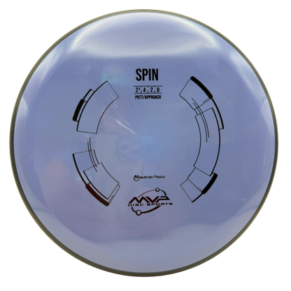 Neutron Spin