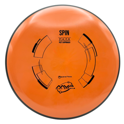 Neutron Spin