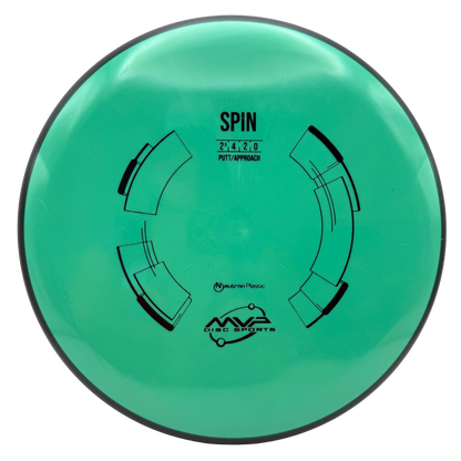 Neutron Spin