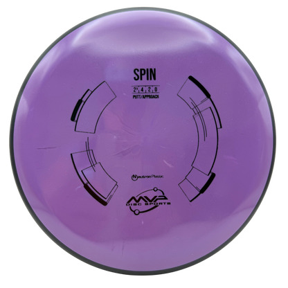 Neutron Spin