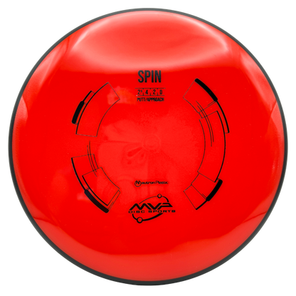 Neutron Spin